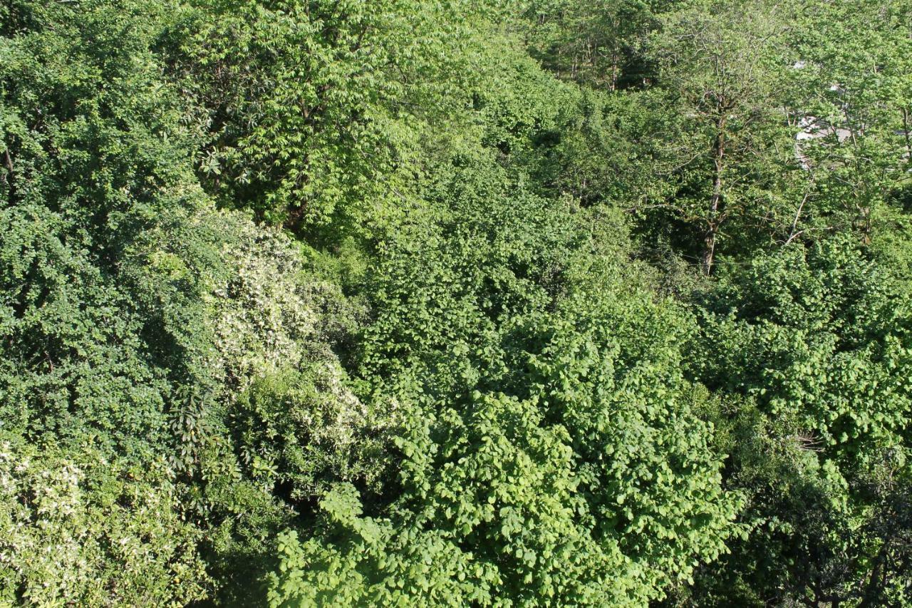 Apartment Murad Batumi Zewnętrze zdjęcie